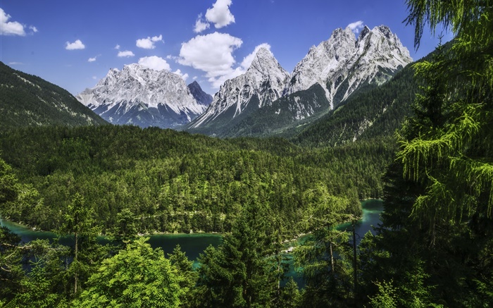 Альпы, Бавария, Германия, горы, лес, река обои,s изображение