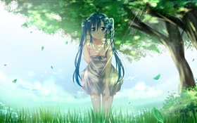 Синие волосы аниме девочка, Хацунэ Мику, деревья, трава, листья HD обои