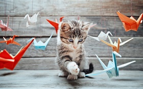 Милый котенок, красочные бумажные птицы