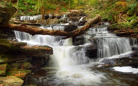 Лес, камни, река, ручей, водопад HD обои