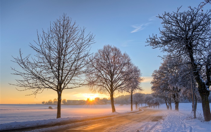 Германия, зима, снег, деревья, дорога, дом, закат обои,s изображение