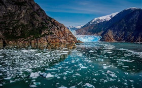 Glacier Bay Национальный парк, штат Аляска, США, горы, ледники, лед, озеро HD обои