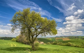 Италия, природа пейзаж, холмы, поля, дом, дерево, весна