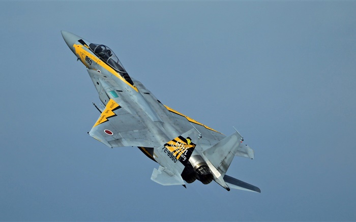 McDonnell Douglas F-15 Eagle истребитель в небе обои,s изображение
