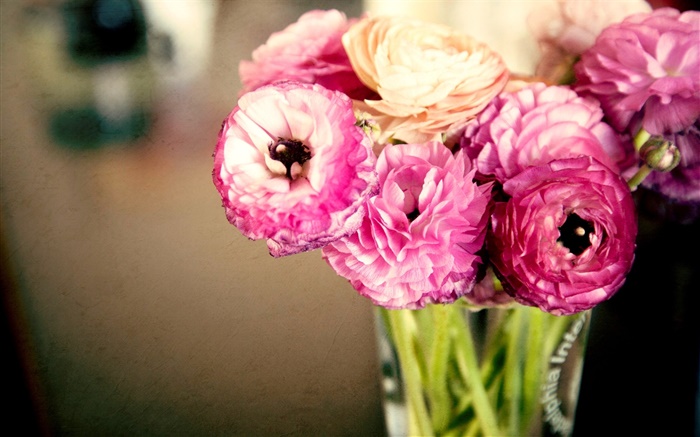 Розовые цветы, лютик, ваза обои,s изображение