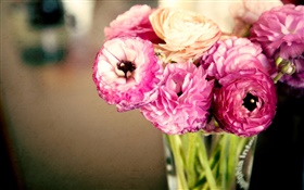 Розовые цветы, лютик, ваза HD обои