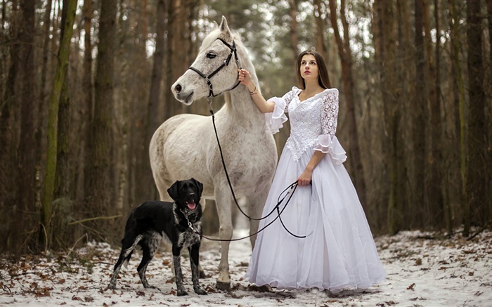 Ретро стиль, белое платье девушка, лошадь, собака, лес обои,s изображение