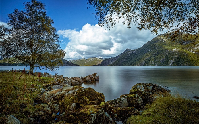 Rogaland, Норвегия, озеро, горы, дерево, камни, облака обои,s изображение