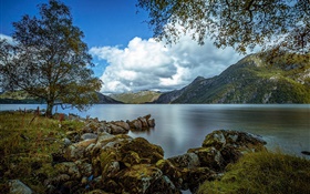 Rogaland, Норвегия, озеро, горы, дерево, камни, облака HD обои