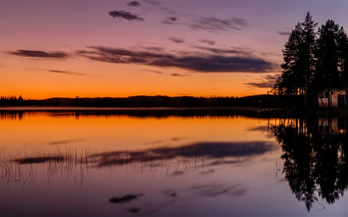 Небо, озеро, лес, деревья, закат, вечер обои,s изображение