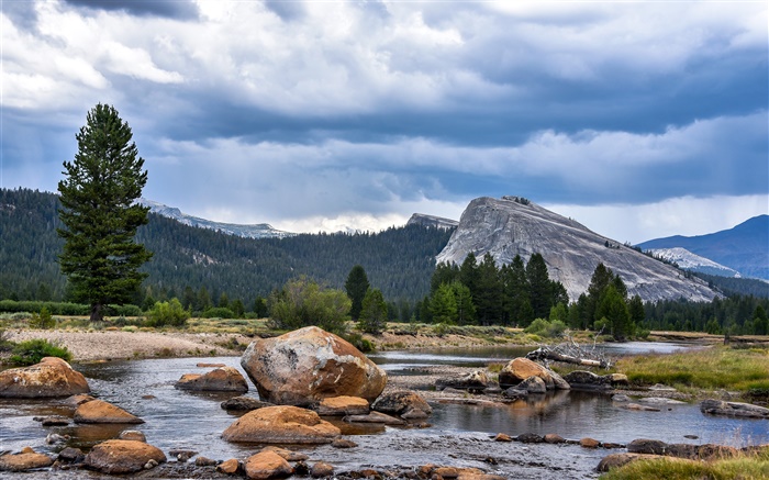 США, Калифорния, Йосемитский национальный парк, лес, горы, облака, камни обои,s изображение
