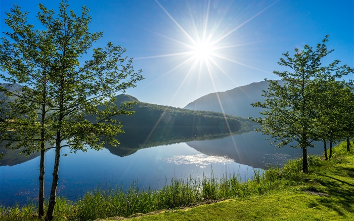 Vigesaa, Rogaland, Норвегия, озеро, деревья, солнечный свет обои,s изображение