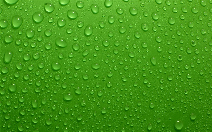 Капли воды, зеленый фон обои,s изображение