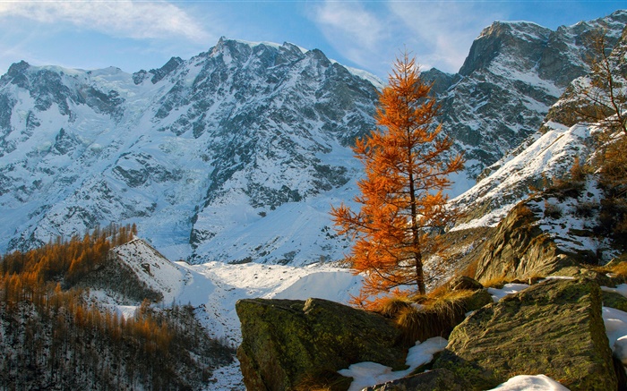 Зима, горы, снег, деревья, камни обои,s изображение