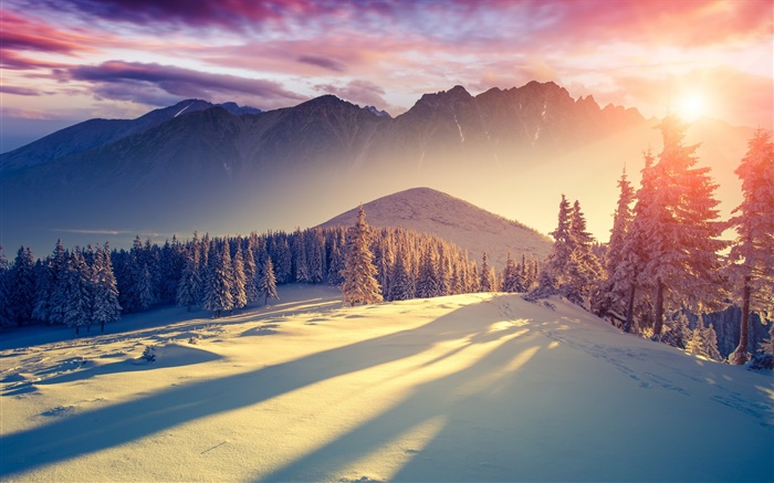 Зима, снег, холод, горы, деревья, ели, небо, восход, тени обои,s изображение
