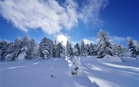 Зима, толщиной снег, деревья, ели, склон, облака HD обои