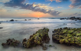 Аруба, Карибского бассейна, Араши-Бей, камни, море, побережье, закат, облака HD обои