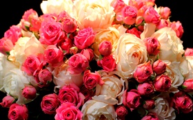 Букет цветов розы, красный и белый HD обои