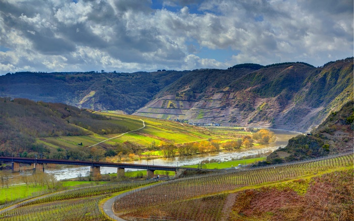 Ediger-Эллер, Германия, горы, река, мост, виноградник обои,s изображение
