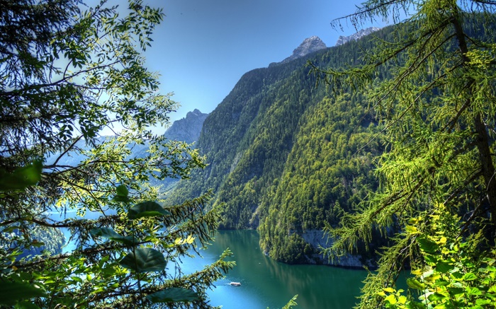 Германия, Бавария, горы, лес, деревья, река обои,s изображение