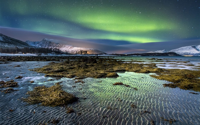 Норвегия, Северное сияние, ночь, звезды, море, побережье, зима, снег обои,s изображение