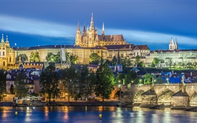 Prague, Czech Republic, река, мост, собор Святого Вита, ночь, огни