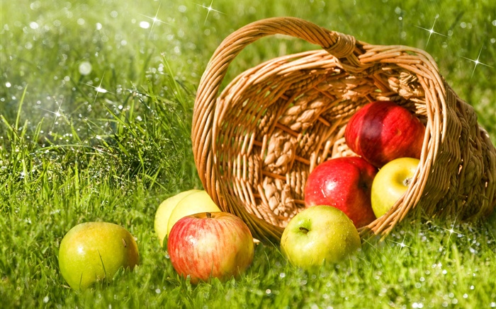 Красные и зеленые яблоки, фрукты, корзина, трава обои,s изображение