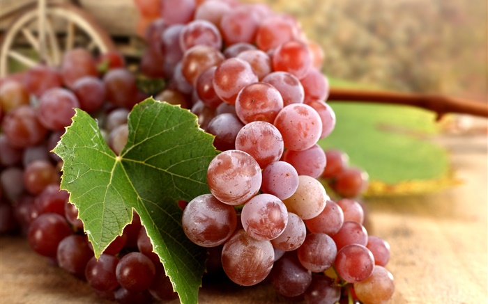 Красный виноград, листья, осень обои,s изображение