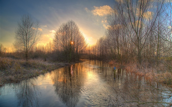 Зима, деревья, река, снег, восход обои,s изображение
