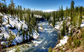 Йеллоустонский национальный парк, США, лес, деревья, река, снег, зима
