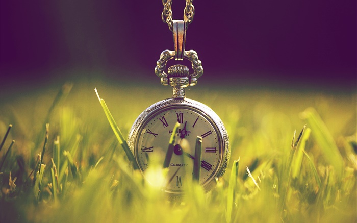 Часы в траве, зеленый, солнечный свет обои,s изображение