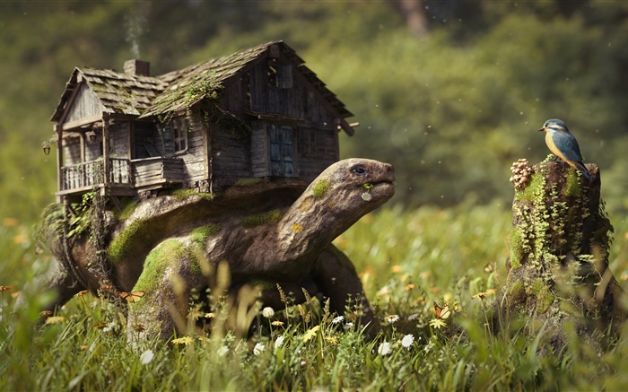 Креативные картинки, черепаха, дом, цветы, трава, пень, птица обои,s изображение