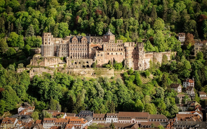 Германия, Гейдельбергский замок, деревья, дома обои,s изображение