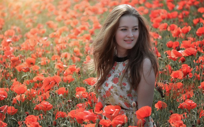 Девочка в поле цветы, красные маки, лето обои,s изображение