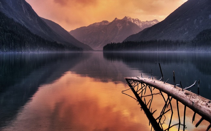 Озеро, ветки, горы, закат обои,s изображение