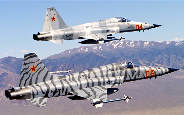 Northrop F-5 борец за свободу, Tiger II обои,s изображение