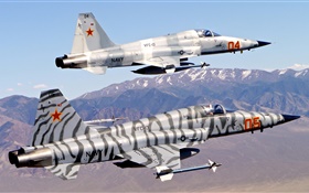 Northrop F-5 борец за свободу, Tiger II HD обои