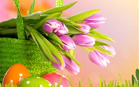 Фиолетовый тюльпаны, цветы, корзины, Пасха, весна HD обои