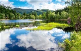Шотландия, Великобритания, зелень, деревья, горы, озеро, вода отражение HD обои