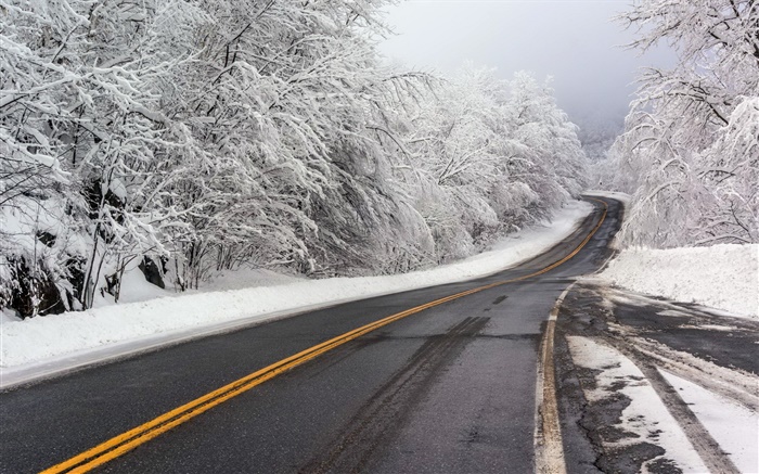 Зима, снег, дорога, деревья, белый обои,s изображение