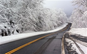 Зима, снег, дорога, деревья, белый HD обои