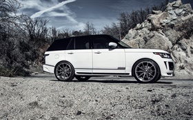 2015 Land Rover Range Rover белый автомобиль вид сбоку