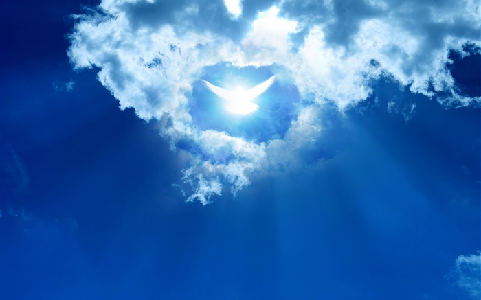 дизайн Абстракция, голубь, облака, небо обои,s изображение