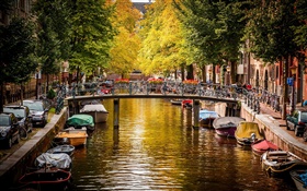 Амстердам, Нидерланды, мост, река, лодки, дома, деревья, осень