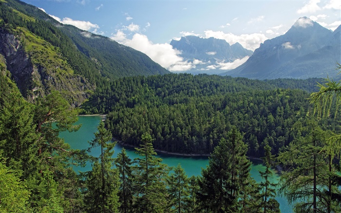 Австрия, Тироль, горы, леса, деревья, река обои,s изображение