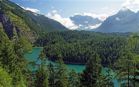 Австрия, Тироль, горы, леса, деревья, река HD обои