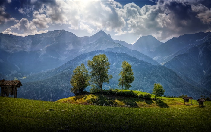 Австрия, горы, деревья, облака, трава обои,s изображение