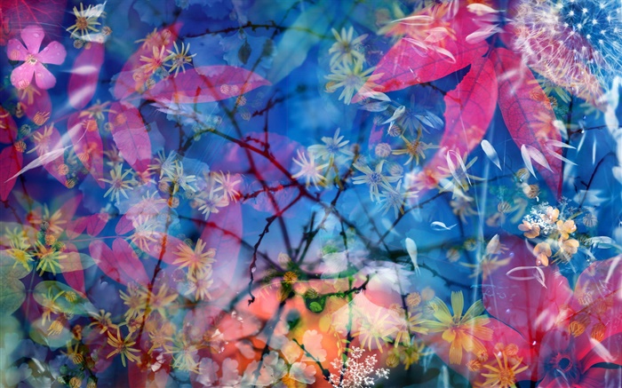 Креативный дизайн картины, цветы, листья, вода, веточки обои,s изображение