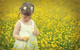 Симпатичные девушки ребенок, рапсовое поле цветок HD обои