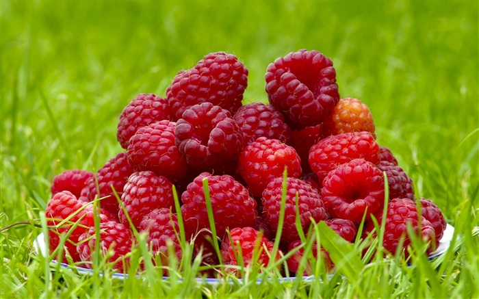 Свежая малина, красные ягоды, трава, лето обои,s изображение